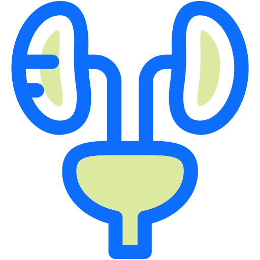 kidney-tranplant
